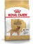 Royal Canin Golden Retriever Adult Yetişkin Köpek Maması 12 kg 1
