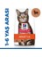 Hills Adult Kuzu Etli Yetişkin Kedi Maması 8+2 kg 1