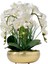 Gold Saksılı Beyaz Orkide 1