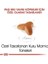 Royal Canin Pug Junior Yavru Köpek Maması 1.5 kg 5
