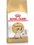 Royal Canin Siamese Adult Yetişkin Siyam Kedisi Maması 2 kg 1