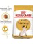 Royal Canin Siamese Adult Yetişkin Siyam Kedisi Maması 2 kg 2