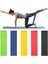 5 Adet Pilates Bandı Seti Direnç Hafif Orta Sert 5'li̇ Set Pilates Lastiği 3