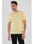 Alexandergardı Dokulu Erkek T-Shirt 2