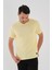 Alexandergardı Dokulu Erkek T-Shirt 3