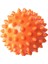 Turuncu Tarzı Pvc Dikenli Masaj Topu Tetik Noktası Spor Fitness El Ayak Ağrısı Spor Aksesuarları Kas Relax Top 6 Renk (Yurt Dışından) 1