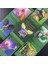 TS106 Stili Pixies Şaşırtıcı Lenormand Tarot Kartı Destesi Oyunlardan Sevgiyle Oluşturulan Sanat Eseri Aşk Oracle Kehaneti Benzersiz Oyuncak (Yurt Dışından) 1
