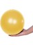 Sarı Stil 25CM Pilates Yoga Topu Egzersizi Anti-Basınç Patlamaya Dayanıklı Jimnastik Denge Egzersizi Fitness Salonu Ev Yoga Çekirdek Eğitimi (Yurt Dışından) 1