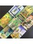 MTT09 Stili Yeni Varış Sihirli Yazışmaların Tarot'u Tarot Kartları Fal Rehberliği Kehanet Tarot Güverte Tahta Oyunu Kart Oyunu Anlatıyor (Yurt Dışından) 3