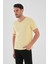 Alexandergardı V Yaka Kısa Kollu Erkek T-Shirt 3