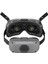 Goggles Integra 2
