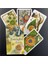 44 Adet TS80 Tarzı Ingilizce Versiyon Herbcrafter'ın Tarot Destesi Oyun Tahtası Oracle Kartları Aile Partisi Oynama (Yurt Dışından) 2