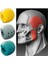 Gri Stil Fitness Yüz Masseter Eğitim Topu Gıda Dereceli Silikon Çene Egzersiz Cihazı Yüz Çiğneme Yüz Kas Eğitmen Çiğneme Topu (Yurt Dışından) 3