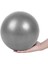 Gri Stil Anti-Basınç Patlamaya Dayanıklı 25 cm Çaplı Yoga Egzersiz Jimnastik Salonları Yoga Denge Topu Spor Salonu Evde Eğitim Yoga Topu (Yurt Dışından) 1