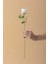 Yapay Kadife Gül 50 cm 1