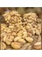 Siirt Fıstığı Ekstra 250G 1