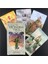 44 Adet TS70 Tarzı Vice Versa Tarot Kiti Tarot Kartları Aile Buluşması Partisi Oyun Kartları Için Oracle Güverte Tahta Oyunları (Yurt Dışından) 2
