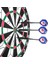 Bordo Tarzı Cyeelife 26 Gram Pro Çelik Uçlu Dart, Çantalı, Alüminyum Şaftlı ve Et Uçuşları (Yurt Dışından) 5