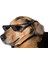 Siyah Stil Fashion Glasses Meme Shades 8 Bit Pixelated Unisex Güneş Gözlüğü (Yurt Dışından) 4
