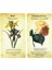 Botanik Ilhamı Oracle Kartları Tam Englards Güverte Tarot Masa Oyunu (Yurt Dışından) 3