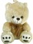 PABX21957-20 Peluş Ayı Kurdelalı 20 cm 3
