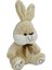 35 cm Tavşan Peluş -Hly 1