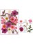Dıy Reçine Kalıp Için Kurutulmuş Çiçek Dolgular Gerçek Doğal Preslenmiş Çiçek Yaprakları Scrapbooking Diy Sanat El Sanatları Tırnak Sanat Dekoru Renk: Pembe (Yurt Dışından) 1
