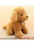 Sevimli Köpek Kaniş Toy Poodle Peluş Oyuncak 25 cm 200 Gram Puppy Gerçekçi Peluş Köpek 1