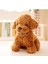 Sevimli Köpek Kaniş Toy Poodle Peluş Oyuncak 25 cm 200 Gram Puppy Gerçekçi Peluş Köpek 1