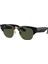 RB0316S 901/31 53-21-145 Unisex Güneş Gözlüğü 1