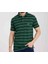 Polo Nefti Çizgili Regular Fit 2