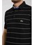 Polo Siyah Çizgili Regular Fit 2