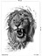 Gerçekçi Aslan Geçici Dövme Lion Tattoo 2