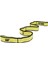 SBD33 Stretchband Orta Sert 1