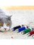 3 Fonksiyonlu Kırmızı Beyaz Işıklı LED Lazer Kedi Köpek Oyuncak Anahtarlık 5