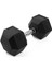 16 kg Hex Olimpik Dambıl 1