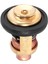 Tekne Parçaları ve Aksesuarları 1 Adet 6E5-12411-00 6E5-12411-02 6E5-12411-10 Tekne Motoru Termostatı Suzuki Için Yamaha Dıştan Takma Motor Motor Parçası (Yurt Dışından) 4