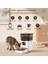 Feline Prime 3l Wi-Fi Kameralı Akıllı Otomatik Kedi Köpek Mama Kabı Besleme Ünitesi (Sesli Komut+Çelik Kase+App Kontrol) 2