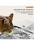 Aqua Flow 4l Çelik Hazne Wi-Fi Bataryalı Akıllı Otomatik Kedi Köpek Su Pınarı Su Çeşmesi Su Şelalesi (Ultra Sessiz+Uv Filtre+Akıllı Sensör) 2