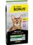 Sterilised Kısırlaştırılmış Hindi Etli Kedi Mamasi 10+2 kg + Ferplast Jet 10 Kedi Taşıma Çantası 2