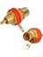 IC-261C Rca Gold Şase 1