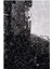 Monet MT40B 5