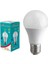 Powermaster PM-21567 Gece Sensörlü 7 Watt 6500K Beyaz LED Ampul 2