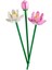 40647 Lego® Iconic Botanical Collection Lotus Çiçekleri 220 Parça +8 Yaş 2