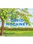 David Hockney 1