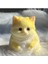 Kedi Taba Sukuşi - Squishy Kedi- Tüylü Kedi - Oyuncak Tabakedi, One Size 2
