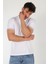 4546 Kagi Kol Yaka Şeritli O Yaka T-Shirt 2