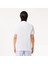 Erkek Polo Yaka T-Shirt 3