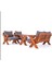 Joy Tropic Iroko Ahşap Bahçe Takımı (Bahçe Mobilyası Oturma Grubu) 1