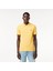 Erkek Polo Yaka T-Shirt 1